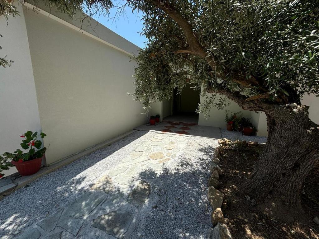 Tierra Villa Skiathos by Eksteriør billede