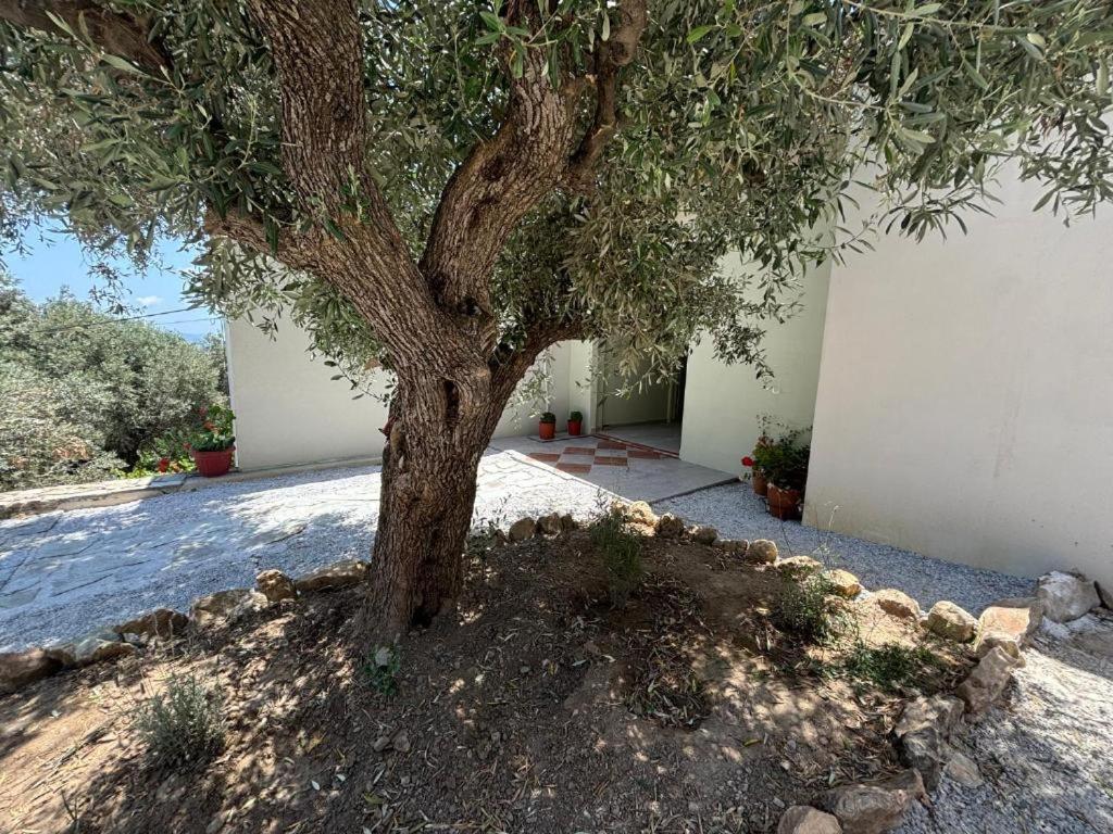 Tierra Villa Skiathos by Eksteriør billede